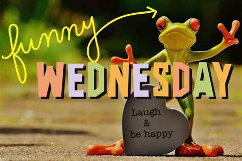 funny happy wednesday quotes|wednesday funny quotes for work.